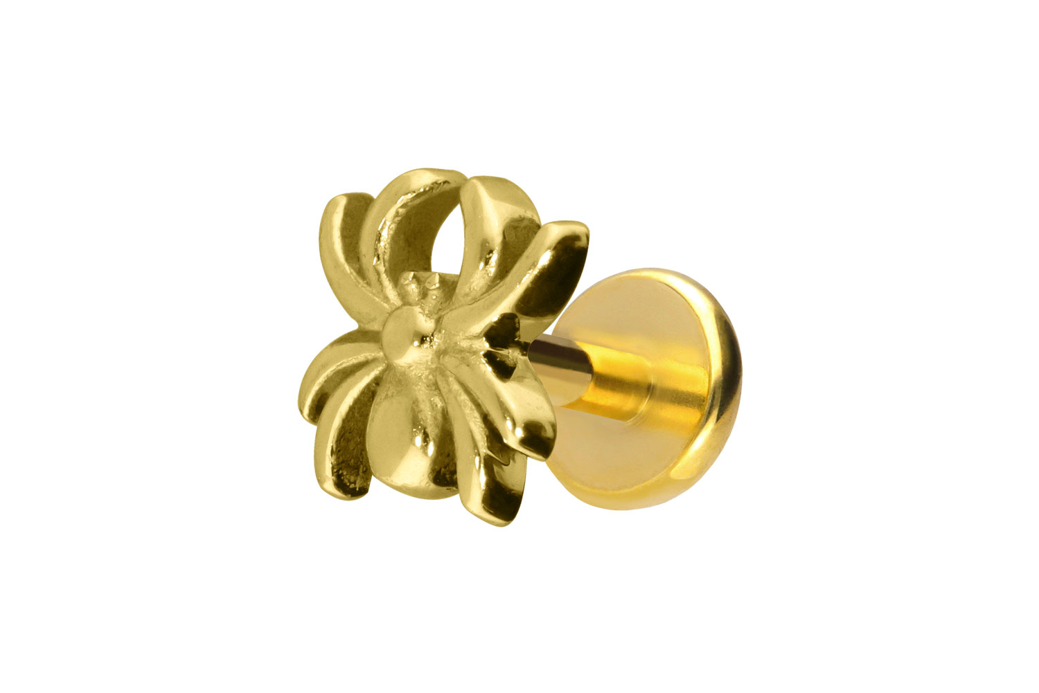 Titan Labret Piercing mit Push Fit SPINNE